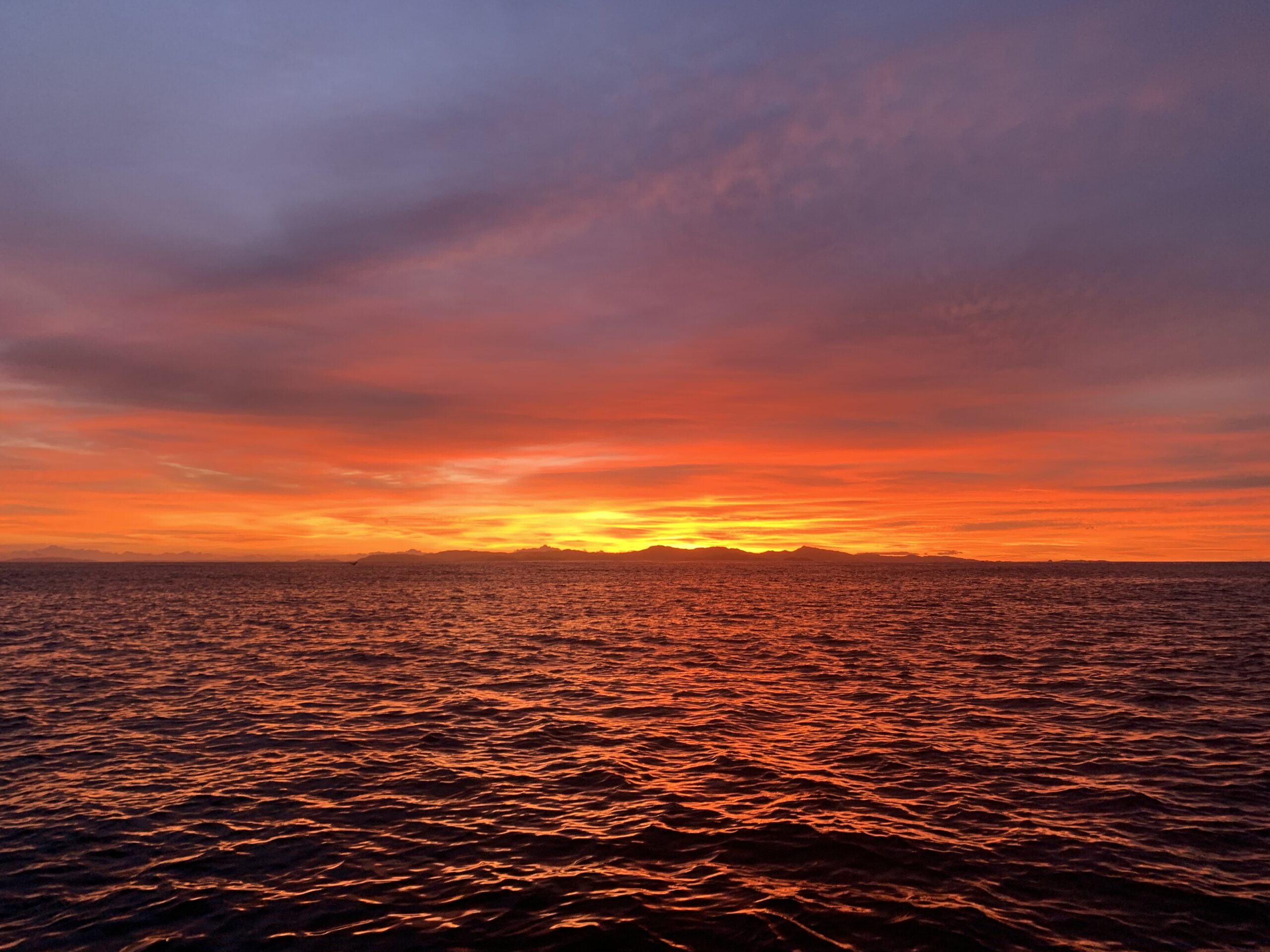 Tortuga Island Tour (min 5 pax) - Image 19